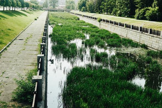 photo 2023 06 22 14 47 09