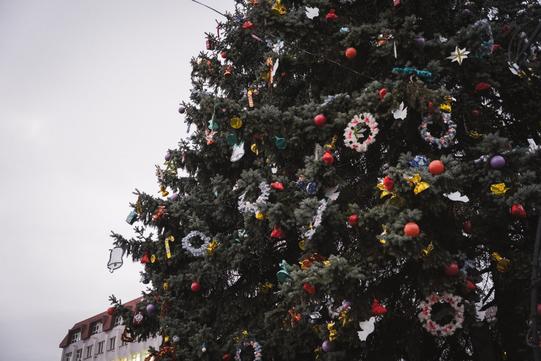 yalinka sumy centr ялинка в центрі Сум