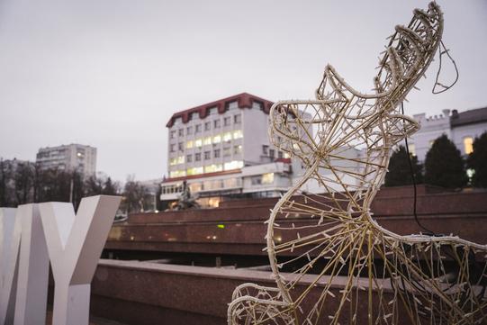 olen sumy новорічні олені в Сумах