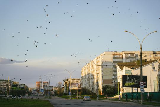 prospekt lushpy v sumakh kviten 2026 (6)