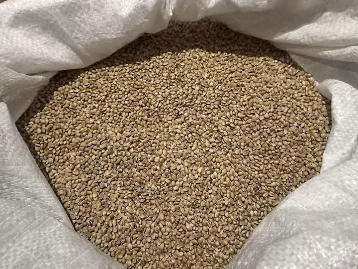 hemp-4 hemp 4