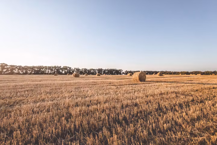 Ілюстративне фото: Unsplash Поле з тюками соломи після жнив на Сумщині