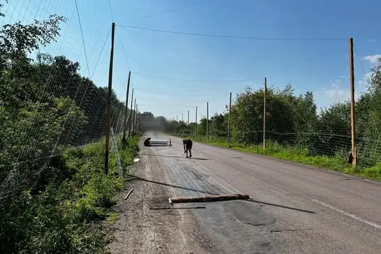 антидронові сітки в Сумській області
