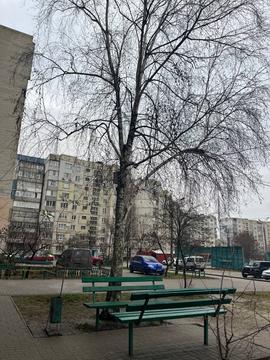 dvir na vulitsi zaluvna Двір багатоквартирного будинку, де трапилася перестрілка