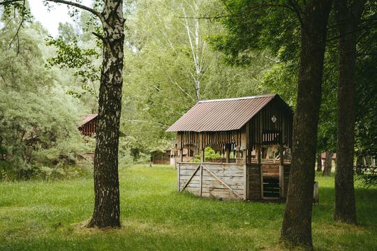 dereviana altanka lis sumy