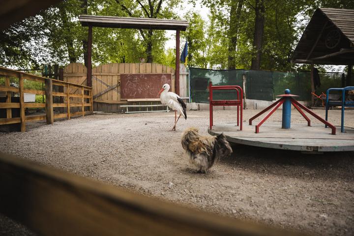 photo 2025 05 23 17 32 31