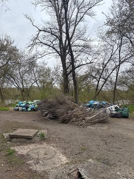 sumy toloka cukr прибраний сухостій на толоці в Сумах