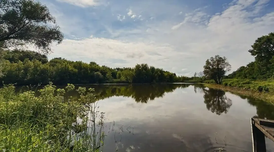 Вода в заповіднику Михайлівська цілина на Сумщині