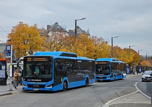 Roman F. Budapest
