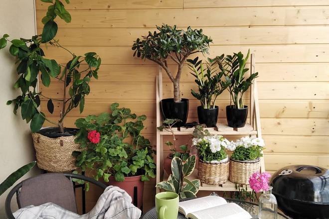 414004890 95011920 263986507976560 2246604162588837449 n
