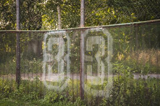 SNY 8