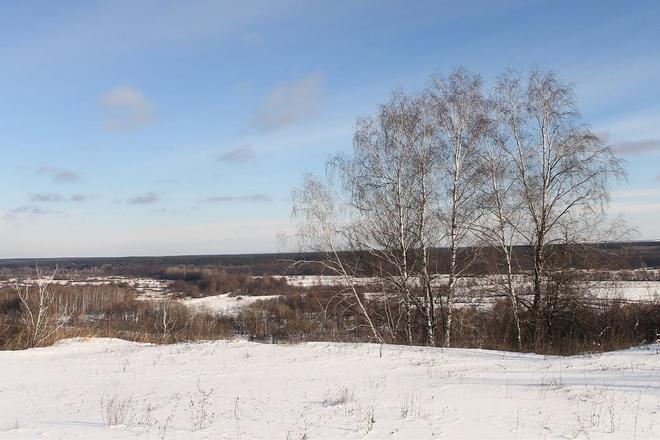 Полонина в Пристайловому