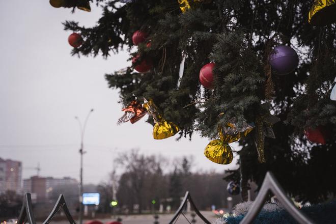 noviy rik sumy