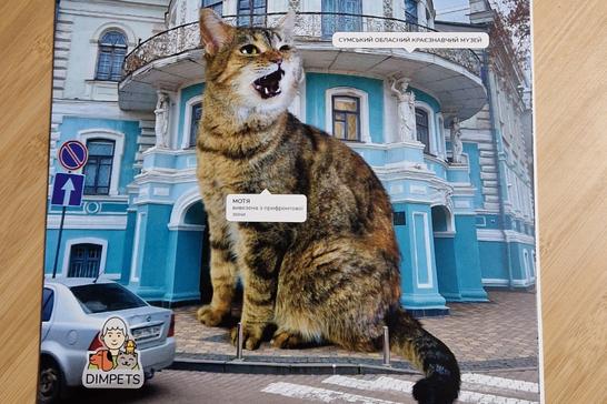 Календар з котами в Сумах