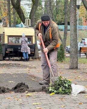 Чоловік висаджує троянди в Сумах