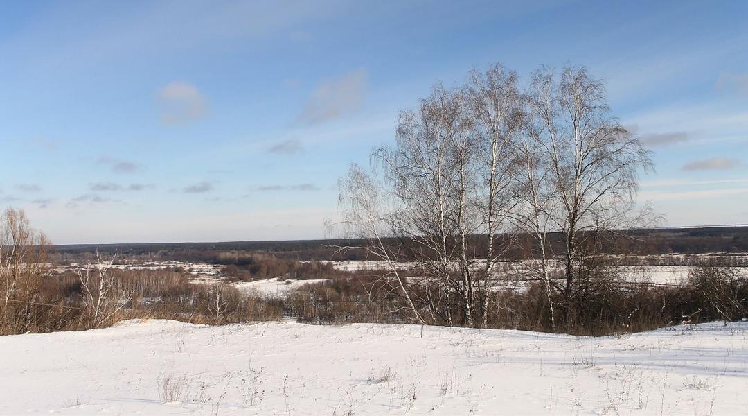polonyna v prystaylovomu Полонина в Пристайловому