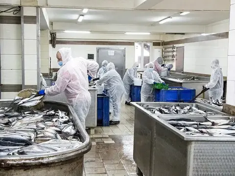 Працівники підприємства Fish King