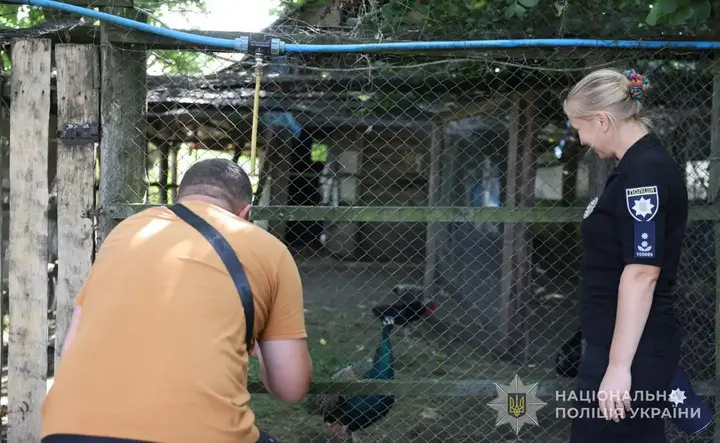 Анімалотерапія для поранених бійців на Сумщині