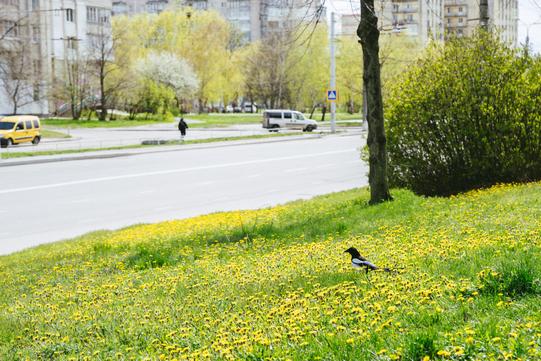 prospekt lushpy v sumakh kviten 2026 (20)