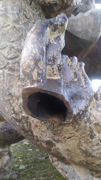 photo 2024 06 18 19 16 48 2
