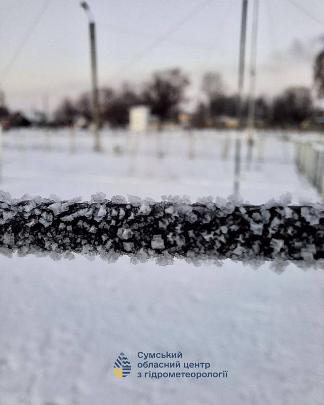 photo 2025 02 22 18 11 03