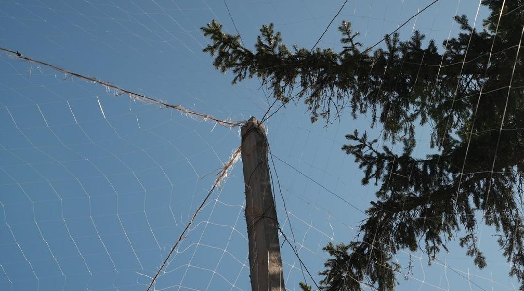 На Сумщині планують накрити антидроновими сітками дорогу між Тростянцем і Охтиркою