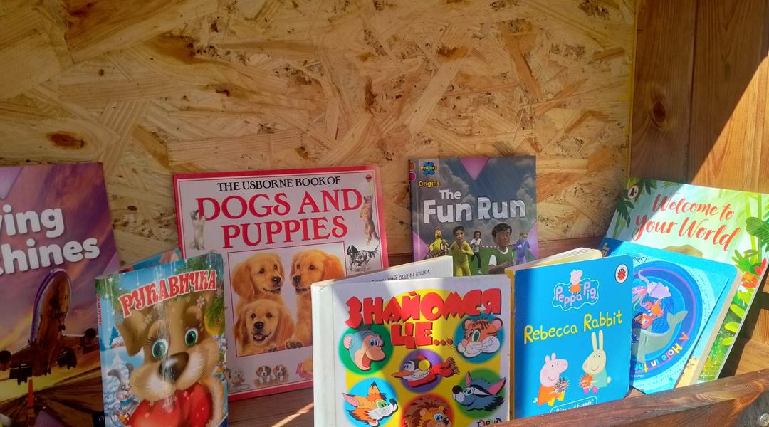 budynochok z knyhamy книги на поличці