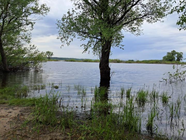 desnianskyi biosfernyi rezervat