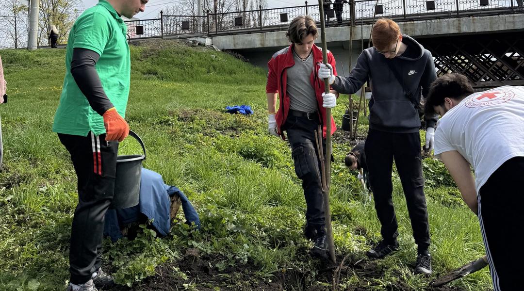 Висадка дерев у центрі Сум