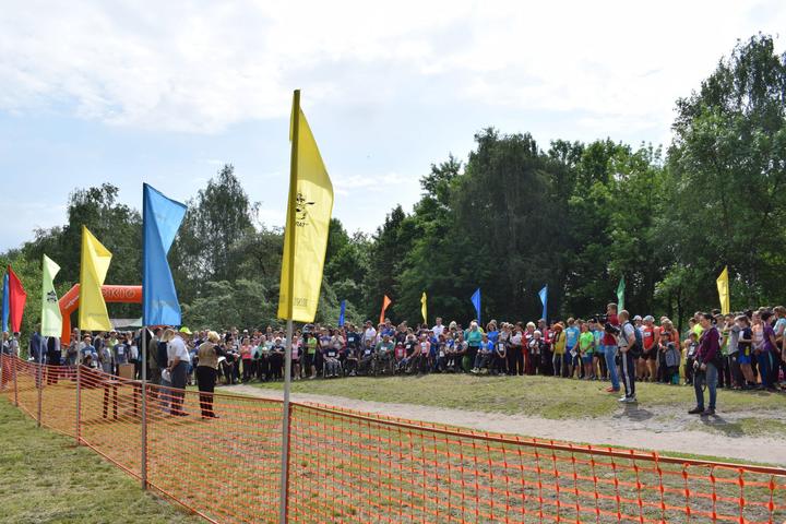 kolo chekha 02