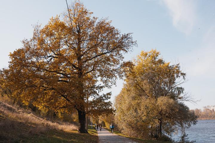 photo 2022 10 19 10 53 23 2