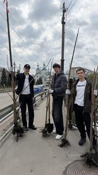 Сум'яни з новими деревами для Сум