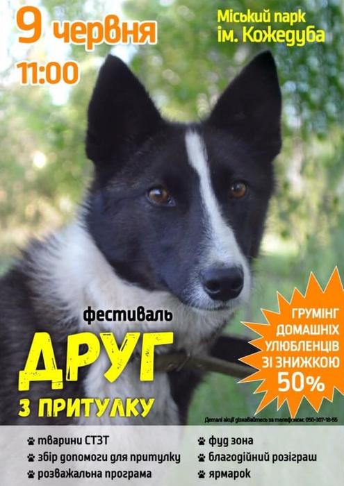 dog friend 2