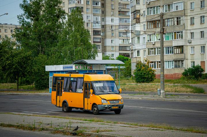 avies рута avies рута