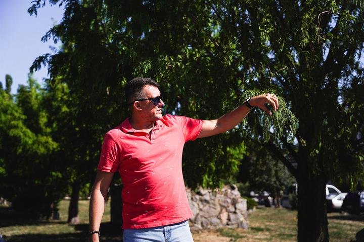 DSC09334 DSC09334