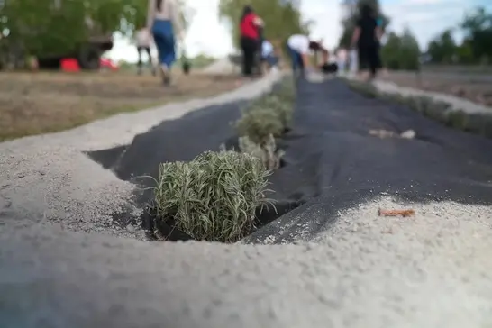 Алея надії в Лебедині на Сумщині