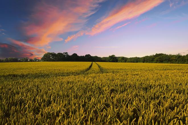 countryside 2326787 1920