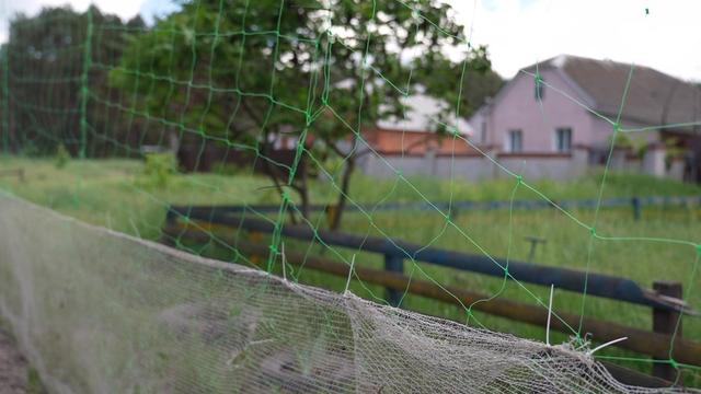 Антидронова сітка у Сумах