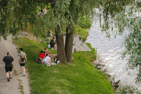 vidpochynok trava psel sumy