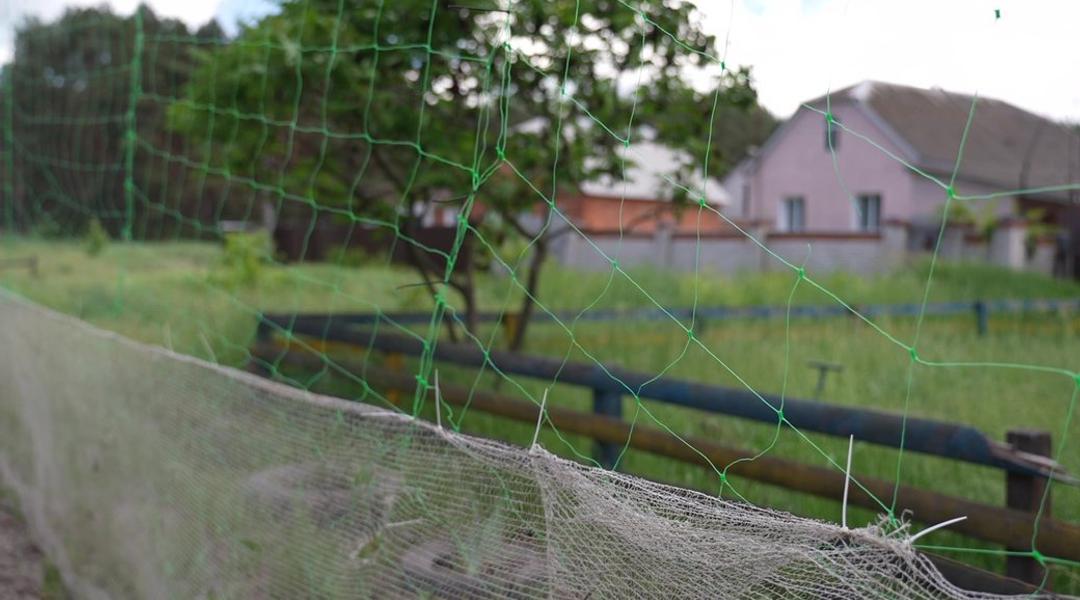 Антидроновий захист на баранівці