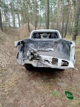 авто лісництва