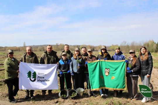 Ліси України висадили ліс на Сумщині