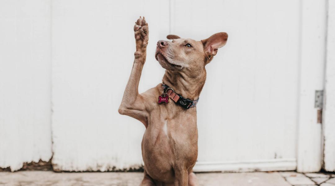 camylla battani AoqgGAqrLpU unsplash scaled