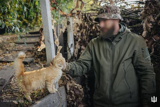 Боєць гладить кота