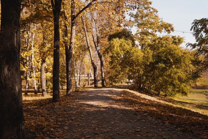 photo 2022 10 19 10 52 41 2