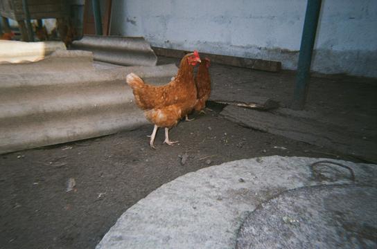 Serhiy 15 rokiv selo KHukhra Serhiy 15 rokiv selo KHukhra