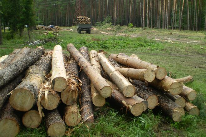 foto iliustratyvne