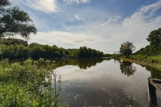 Вода в заповіднику Михайлівська цілина на Сумщині