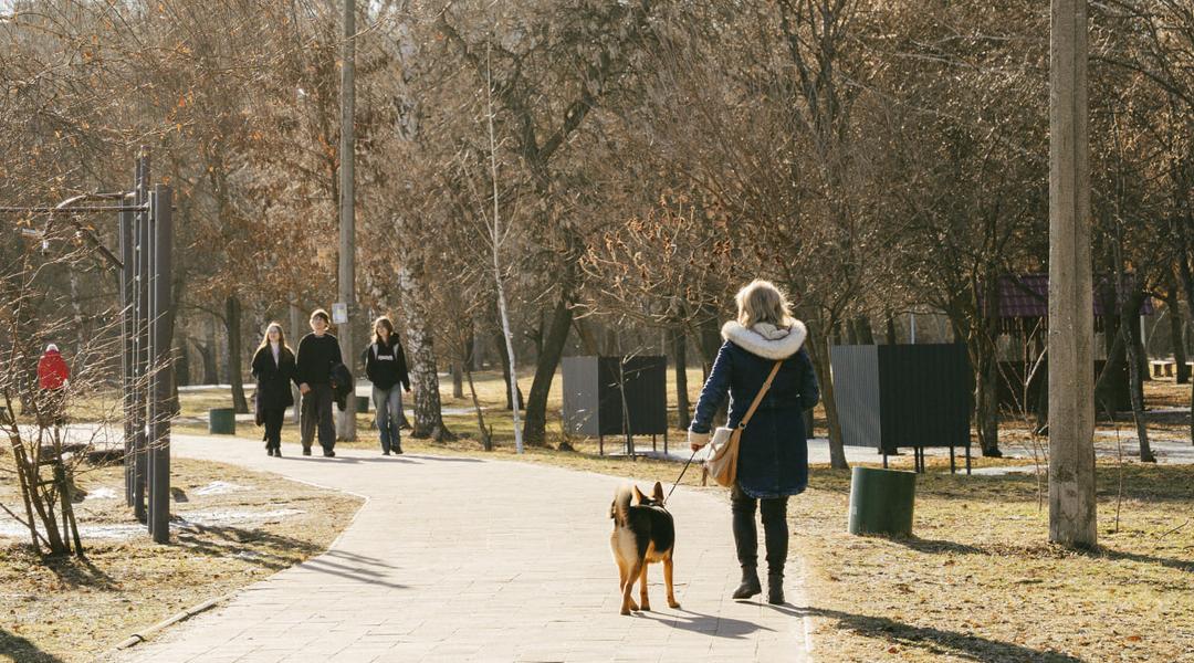 місячник благоустрою в Сумах