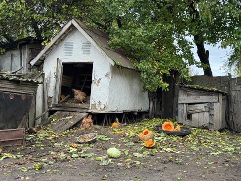 Подвір'я Валентини з Капітанівки
